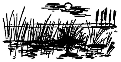 Иллюстрация к книге — Малый мир. Дон Камилло [i_034.jpg]