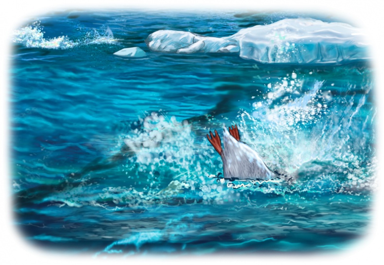 Иллюстрация к книге — Случай в Пингвинии [i_008.jpg]