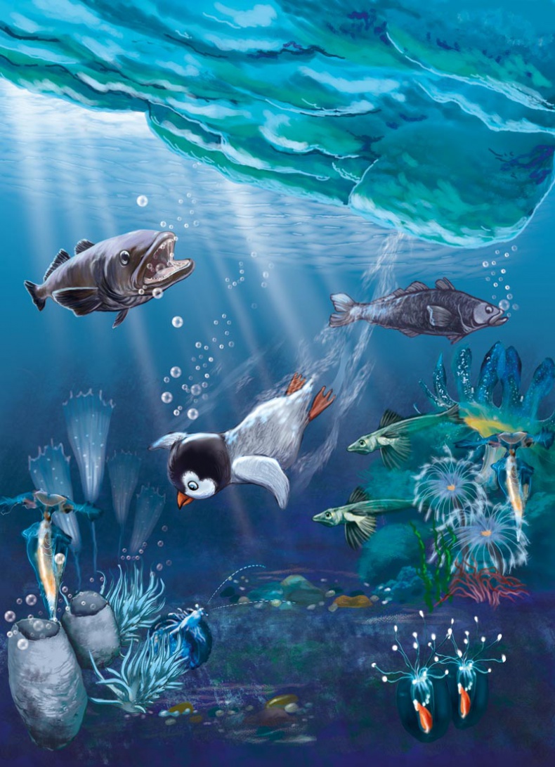 Иллюстрация к книге — Случай в Пингвинии [i_009.jpg]