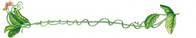 Иллюстрация к книге — Червячок Чарли [i_001.jpg]