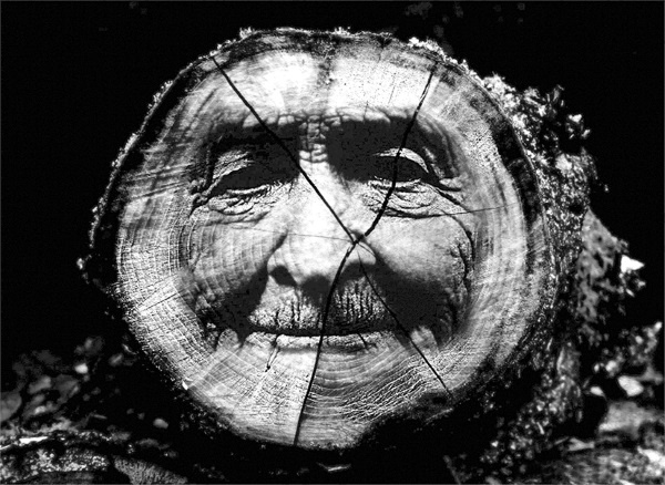 Иллюстрация к книге — Сила рода - тайна женщины. Сакральные знания для счастливой судьбы [i_016.jpg]