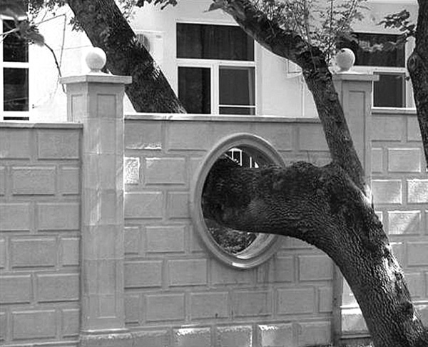 Иллюстрация к книге — Сила рода - тайна женщины. Сакральные знания для счастливой судьбы [i_035.jpg]