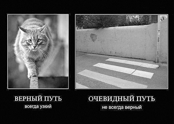 Иллюстрация к книге — Сила рода - тайна женщины. Сакральные знания для счастливой судьбы [i_048.jpg]