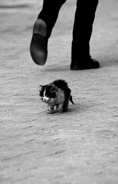 Иллюстрация к книге — Сила рода - тайна женщины. Сакральные знания для счастливой судьбы [i_078.jpg]