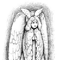 Иллюстрация к книге — Адония [i_004.jpg]