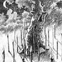 Иллюстрация к книге — Адония [i_015.jpg]