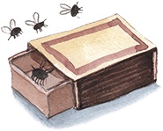 Иллюстрация к книге — Большая маленькая девочка. История восьмая. Дело о клетчатой сумке [i_031.jpg]