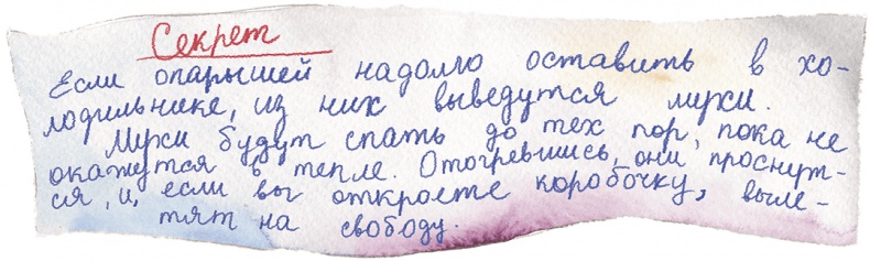 Иллюстрация к книге — Большая маленькая девочка. История восьмая. Дело о клетчатой сумке [i_032.jpg]