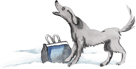 Иллюстрация к книге — Большая маленькая девочка. История восьмая. Дело о клетчатой сумке [i_045.jpg]