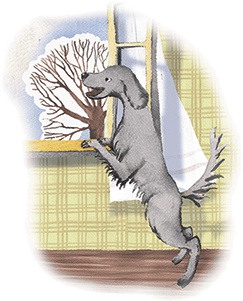 Иллюстрация к книге — Большая маленькая девочка. История восьмая. Дело о клетчатой сумке [i_047.jpg]