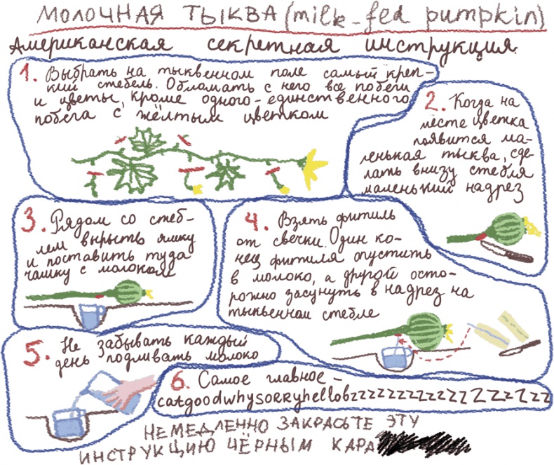 Иллюстрация к книге — Большая маленькая девочка. История шестая. Тыквандо [i_026.jpg]