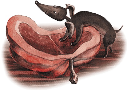 Иллюстрация к книге — Большая маленькая девочка. История шестая. Тыквандо [i_027.jpg]