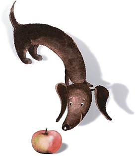 Иллюстрация к книге — Большая маленькая девочка. История вторая. Рецепт волшебного дня [i_001.jpg]