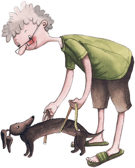 Иллюстрация к книге — Большая маленькая девочка. История третья. Вышел зайчик погулять [i_012.jpg]