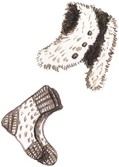 Иллюстрация к книге — Большая маленькая девочка. История пятая. Сто один способ заблудиться в лесу [i_007.jpg]