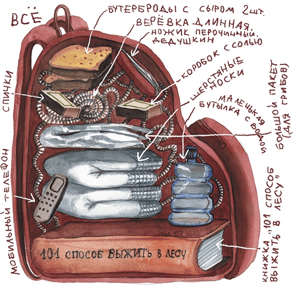 Иллюстрация к книге — Большая маленькая девочка. История пятая. Сто один способ заблудиться в лесу [i_009.jpg]