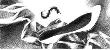 Иллюстрация к книге — Игра на выживание [_133.jpg]