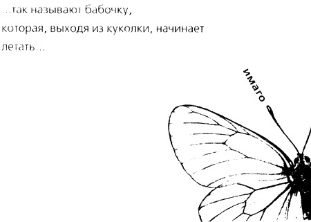 Иллюстрация к книге — Когда я стану кошкой. Ева вне рая и ада [i_001.jpg]
