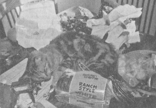 Иллюстрация к книге — Украденная жизнь [i_009.jpg]