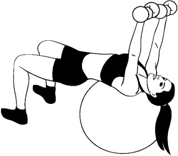 Иллюстрация к книге — Фитбол. 10 минут в день [i_005.jpg]