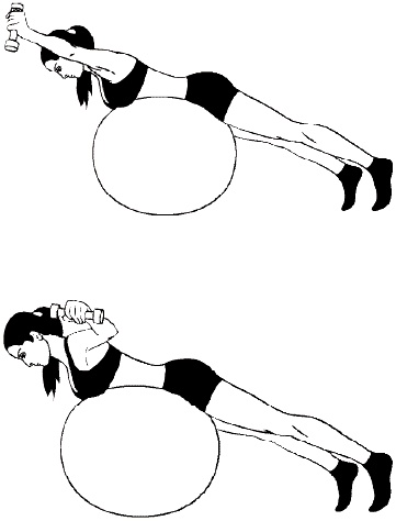 Иллюстрация к книге — Фитбол. 10 минут в день [i_019.jpg]