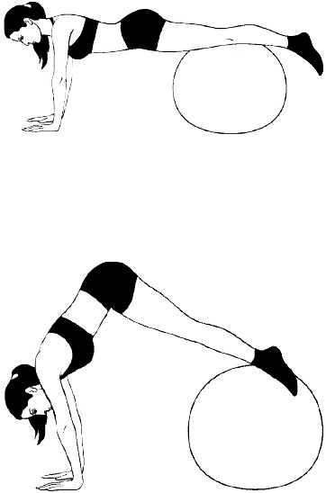 Иллюстрация к книге — Фитбол. 10 минут в день [i_023.jpg]