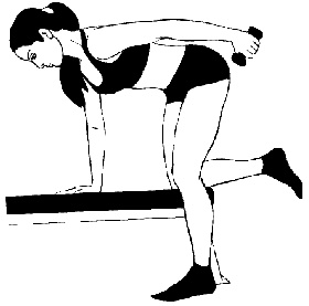 Иллюстрация к книге — Тренируем мышцы груди и рук 10 минут в день [i_017.jpg]