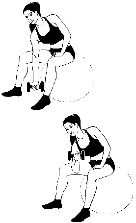 Иллюстрация к книге — Тренируем мышцы груди и рук 10 минут в день [i_031.jpg]