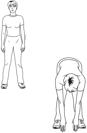 Иллюстрация к книге — Калланетика за 10 минут в день [i_008.jpg]