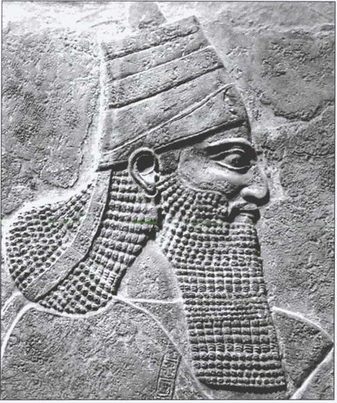 Иллюстрация к книге — Ассирийская держава. От города-государства - к империи [i_014.jpg]