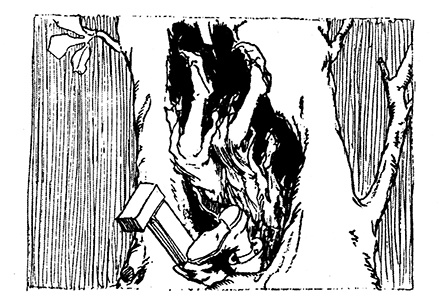 Иллюстрация к книге — Трусливый Лев из Страны Оз. Бравый Дед в Стране Оз [pic.0016.jpg]