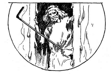 Иллюстрация к книге — Трусливый Лев из Страны Оз. Бравый Дед в Стране Оз [pic.0041.jpg]