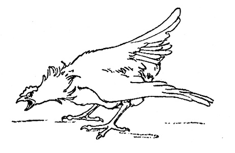 Иллюстрация к книге — Трусливый Лев из Страны Оз. Бравый Дед в Стране Оз [pic.0081.jpg]