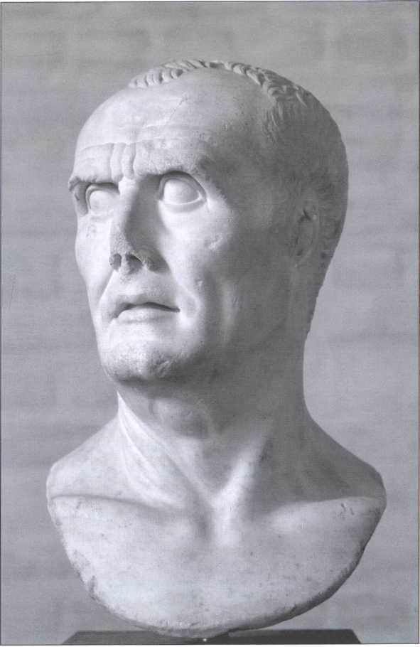 Иллюстрация к книге — Цезарь [i_003.jpg]