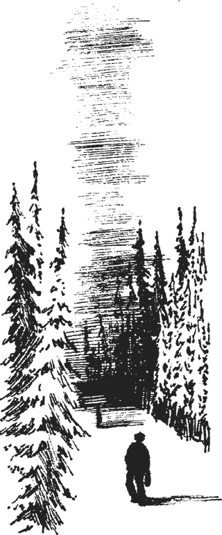 Иллюстрация к книге — Мифогенная любовь каст [i_001.jpg]