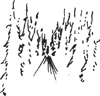 Иллюстрация к книге — Мифогенная любовь каст [i_002.jpg]