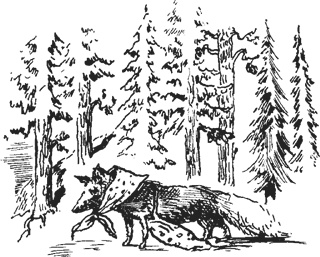 Иллюстрация к книге — Мифогенная любовь каст [i_005.jpg]