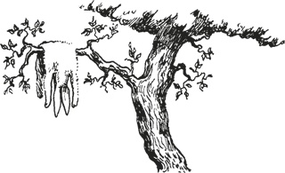 Иллюстрация к книге — Мифогенная любовь каст [i_008.jpg]