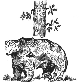 Иллюстрация к книге — Мифогенная любовь каст [i_009.jpg]