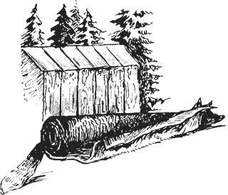 Иллюстрация к книге — Мифогенная любовь каст [i_010.jpg]