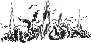 Иллюстрация к книге — Мифогенная любовь каст [i_026.jpg]