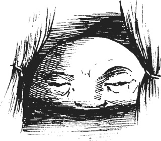 Иллюстрация к книге — Мифогенная любовь каст [i_034.jpg]