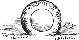 Иллюстрация к книге — Мифогенная любовь каст [i_056.jpg]