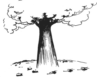 Иллюстрация к книге — Мифогенная любовь каст [i_085.jpg]