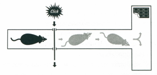 Иллюстрация к книге — Сила привычки. Почему мы живем и работаем именно так, а не иначе [image1a.jpg]
