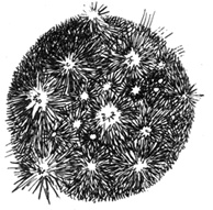 Иллюстрация к книге — Софья и Царство Тьмы [i_035.jpg]