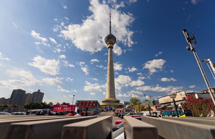 Иллюстрация к книге — Самый большой дурак под солнцем. 4646 километров пешком домой [i_002.jpg]