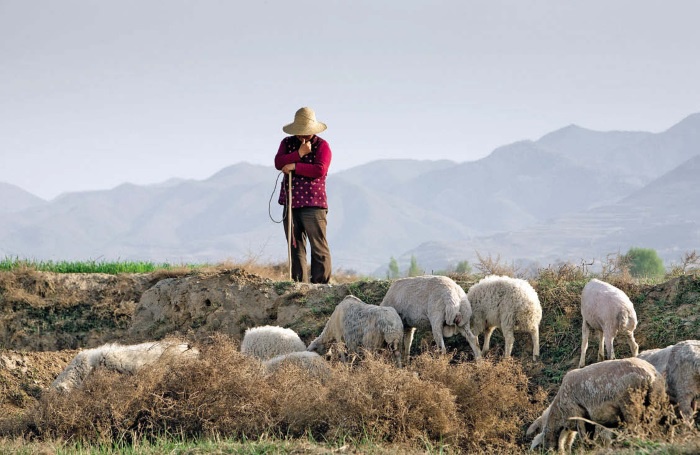 Иллюстрация к книге — Самый большой дурак под солнцем. 4646 километров пешком домой [i_017.jpg]