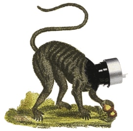 Иллюстрация к книге — Шляпа фокусника [_026.jpg]