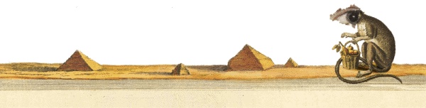 Иллюстрация к книге — Шляпа фокусника [_031.jpg]